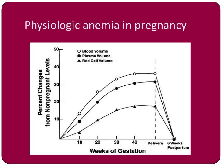 Anemia in pregnancy by dr shabnam naz