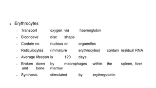  Erythrocytes
 Transport oxygen via haemoglobin
 Biconcave disc shape
 Contain no nucleus or organelles
 Reticulocytes (immature erythrocytes) contain residual RNA
 Average lifespan is 120 days
 Broken down by macrophages within the spleen, liver
and bone marrow
 Synthesis stimulated by erythropoietin
 