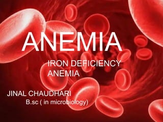 ANEMIA
IRON DEFICIENCY
ANEMIA
JINAL CHAUDHARI
B.sc ( in microbiology)
 