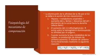 Fisiopatología del
mecanismo de
compensación
• La disminución de la afinidad de la Hb por el O2
se debe a la acción de tres mecanismos:
1. Hipoxia + metabolismo anaerobio +
aumento del a. láctico + descenso del pH +
desviación de la curva hacia la derecha
(efecto Bohr)
2. El aumento del 2,3-difosfoglicerato 
actúa sobre la hemoglobina disminuyendo
su afinidad por el oxígeno.
3. Cuando aumenta la tasa metabólica de los
tejidos, su producción de dióxido de
carbono aumenta. El dióxido de carbono
forma bicarbonato mediante la siguiente
reacción:
Medicine. 2016;12(20):1127-35
 