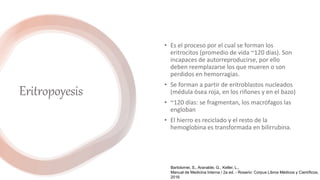 Eritropoyesis
• Es el proceso por el cual se forman los
eritrocitos (promedio de vida ~120 días). Son
incapaces de autorreproducirse, por ello
deben reemplazarse los que mueren o son
perdidos en hemorragias.
• Se forman a partir de eritroblastos nucleados
(médula ósea roja, en los riñones y en el bazo)
• ~120 días: se fragmentan, los macrófagos las
engloban
• El hierro es reciclado y el resto de la
hemoglobina es transformada en bilirrubina.
Bartolomei, S., Aranalde, G., Keller, L.,
Manual de Medicina Interna / 2a ed. - Rosario: Corpus Libros Médicos y Científicos,
2016
 