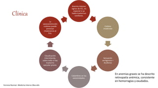 Clínica
Anemia intensa:
signos de ICC, en
especial si ya
había trastornos
cardíacos.
Cefalea
moderada
Sensación
vertiginosa +
Acúfenos
Calambres en las
extremidades.
Claudicación
intermitente,
sobre todo si hay
trastorno
vascular previo.
La
vasoconstricción
cutánea puede
provocar
intolerancia al
frío.
En anemias graves se ha descrito
retinopatía anémica, consistente
en hemorragias y exudados.
Farreras Rozman. Medicina Interna 18va edic
 
