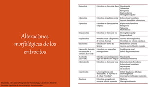 Alteraciones
morfológicas de los
eritrocitos
Moraleda, J.M. (2017). Pregrado de Hematología, 4.a edición. Madrid:
Sociedad Española de Hematología y Hematoterapia.
 