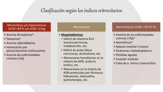 Clasificación según los índices eritrocitarios
Microcíticas y/o hipocrómicas
(VCM <83 fL y/o HCM <27pg
• Anemia ferropénica^
• Talasemia^
• Anemia sideroblástica
• Intoxicación por
plomo/aluminio (infrecuente)
• Anemia de enfermedades
crónicas (<fq)
Macrocíticas
• Megaloblásticas
• Déficit de vitamina B12:
anemia perniciosa,
malabsorción, etc.
• Déficit de ácido fólico:
nutricional, alcoholismo, etc.
• Alteraciones hereditarias en la
síntesis de ADN: aciduria
orótica, etc.
• Alteraciones en la síntesis de
ADN producidas por fármacos:
hidroxiurea, zidovudina,
quimioterapia, etc.
Normocíticas (VCM = 83-97 fL)
• Anemia de las enfermedades
crónicas (>fq)^
• Hemolíticas^
• Aplasia medular (>casos)
• Síndromes mielodisplásicos
• Pérdidas agudas
• Invasión medular
• Coex de a. micro y macrocítica.
 