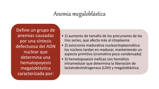 Anemia megaloblástica
• 1) aumento de tamaño de los precursores de las
tres series, que afecta más al citoplasma
• 2) asincronía madurativa nucleocitoplasmática:
los núcleos tardan en madurar, manteniendo un
aspecto primitivo (cromatina poco condensada)
• 3) hematopoyesis ineficaz con hemólisis
intramedular que determina la liberación de
lactatodeshidrogenasa (LDH) y megaloblástica.
Define un grupo de
anemias causadas
por una síntesis
defectuosa del ADN
nuclear que
determina una
hematopoyesis
megaloblástica
caracterizada por:
 