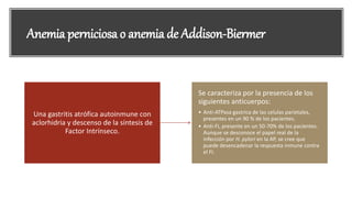 Anemia perniciosa o anemia de Addison-Biermer
Una gastritis atrófica autoinmune con
aclorhidria y descenso de la síntesis de
Factor Intrínseco.
Se caracteriza por la presencia de los
siguientes anticuerpos:
• Anti-ATPasa gastrica de las celulas parietales,
presentes en un 90 % de los pacientes.
• Anti-FI, presente en un 50-70% de los pacientes.
Aunque se desconoce el papel real de la
infección por H. pylori en la AP, se cree que
puede desencadenar la respuesta inmune contra
el FI.
 