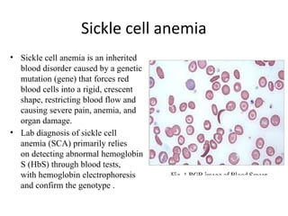 Comprehensive Laboratory Diagnosis and Classification of Anemia | PPTX