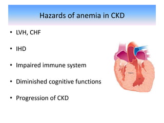 Hazards of anemia in CKD
• LVH, CHF
• IHD
• Impaired immune system
• Diminished cognitive functions
• Progression of CKD
 