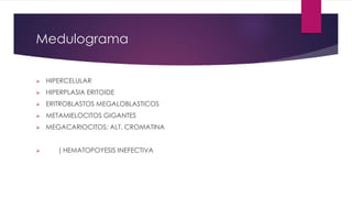 Medulograma
 HIPERCELULAR
 HIPERPLASIA ERITOIDE
 ERITROBLASTOS MEGALOBLASTICOS
 METAMIELOCITOS GIGANTES
 MEGACARIOCITOS: ALT. CROMATINA
 ( HEMATOPOYESIS INEFECTIVA
 