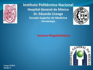 Anemia Megaloblástica
Grupo 9CM55
Equipo 2
Instituto Politécnico Nacional
Hospital General de México
Dr. Eduardo Liceaga
Escuela Superior de Medicina
Hematología
 