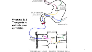 10
Vitamina B12
Transporte e
entrada para
os tecidos
 