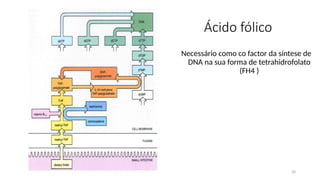 20
Ácido fólico
Necessário como co factor da síntese de
DNA na sua forma de tetrahidrofolato
(FH4 )
 