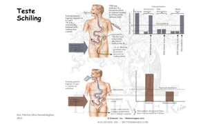 Dra. Patrícia Silva Hematologista
2011
Teste
Schiling
 