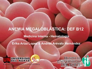 ANEMIA MEGALOBLÁSTICA: DEF B12
        Medicina Interna - Hematología

 Erika Ariza Lopez & Andrés Arévalo Hernández
 