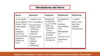 Metabolismo del hierro
Pregrado de Hematología, 4.ª edición. © 2017, Sociedad Española de Hematología y Hematoterapia
 