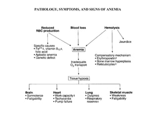 PATHOLOGY, SYMPTOMS, AND SIGNS OF ANEMIA 