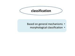 •
Based on general mechanisms
•
morphological classification
classification
 