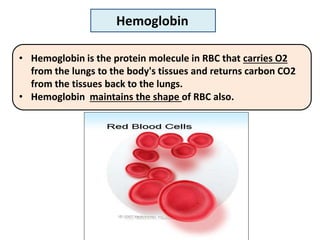 Hemoglobin
• Hemoglobin is the protein molecule in RBC that carries O2
from the lungs to the body's tissues and returns carbon CO2
from the tissues back to the lungs.
• Hemoglobin maintains the shape of RBC also.
 