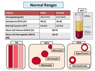 Female
Male
Indices
11.5-15.5
13.5-17.5
Hemoglobin(g/dL)
36-48
40-52
Hematocrit (PCV) (%)
3.9-5.6
4.5-6.5
Red Cell Count (×10¹²)
80-95
Mean Cell Volume (MCV) (fL)
30-35
Mean Cell Hemoglobin (MCH)
(pg)
Hb
Macrocytic
Normocytic
Microcytic
MCV
Normochromic
Hypochromic
MCH
Normal Ranges
HCT
 