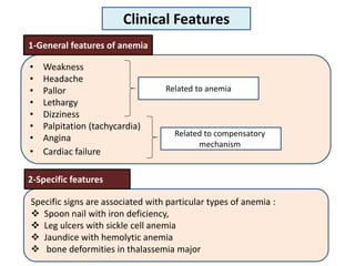 • Weakness
• Headache
• Pallor
• Lethargy
• Dizziness
• Palpitation (tachycardia)
• Angina
• Cardiac failure
Related to anemia
Related to compensatory
mechanism
Clinical Features
1-General features of anemia
Specific signs are associated with particular types of anemia :
 Spoon nail with iron deficiency,
 Leg ulcers with sickle cell anemia
 Jaundice with hemolytic anemia
 bone deformities in thalassemia major
2-Specific features
 