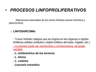 • PROCESOS LINFOPROLIFERATIVOS
Alteraciones esenciales de las series linfoides (series linfocítica y
plasmocítica)
o LINFOSARCOMA:
- Tumor linfoide maligno que se origina en los órganos o tejidos
linfáticos sólidos (nódulos y tejido linfático del bazo, hígado, etc.)
- La anemia suele ser normocítica y normocrómica, de grado
variable
- L. múlticéntrico de los terneros
- L. tímico
- L. cutáneo
- Leucosis enzoótica
 
