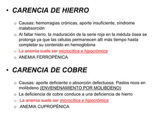 • CARENCIA DE HIERRO
o Causas: hemorragias crónicas, aporte insuficiente, síndrome
malabsorción
o Al faltar hierro, la maduración de la serie roja en la médula ósea se
prolonga ya que las células permanecen allí más tiempo hasta
completar su contenido en hemoglobina
o La anemia suele ser microcítica e hipocrómica
o ANEMIA FERROPÉNICA
• CARENCIA DE COBRE
o Causas: aporte deficiente o absorción defectuosa. Pastos ricos en
molibdeno (ENVENENAMIENTO POR MOLIBDENO)
o La deficiencia de cobre conduce a una deficiencia de hierro
o La anemia suele ser microcítica e hipocrómica
o ANEMIA CUPROPÉNICA
 