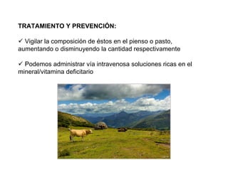 TRATAMIENTO Y PREVENCIÓN:
Vigilar la composición de éstos en el pienso o pasto,
aumentando o disminuyendo la cantidad respectivamente
Podemos administrar vía intravenosa soluciones ricas en el
mineral/vitamina deficitario
 
