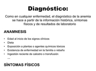 Diagnóstico:
Como en cualquier enfermedad, el diagnóstico de la anemia
se hace a partir de la información histórica, síntomas
físicos y de resultados de laboratorio
ANAMNESIS
• Edad al inicio de los signos clínicos
• Dieta
• Exposición a plantas o agentes químicos tóxicos
• Existencia de enfermedad en la familia o rebaño
• Ingestión reciente de calostro o transfusión
…
SÍNTOMAS FÍSICOS
 