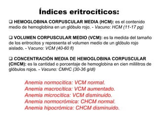 Índices eritrocíticos:
HEMOGLOBINA CORPUSCULAR MEDIA (HCM): es el contenido
medio de hemoglobina en un glóbulo rojo. - Vacuno: HCM (11-17 pg)
VOLUMEN CORPUSCULAR MEDIO (VCM): es la medida del tamaño
de los eritrocitos y representa el volumen medio de un glóbulo rojo
aislado. - Vacuno: VCM (40-60 fl)
CONCENTRACIÓN MEDIA DE HEMOGLOBINA CORPUSCULAR
(CHCM): es la cantidad o porcentaje de hemoglobina en cien mililitros de
glóbulos rojos. - Vacuno: CMHC (30-36 g/dl)
Anemia normocítica: VCM normal.
Anemia macrocítica: VCM aumentado.
Anemia microcítica: VCM disminuido.
Anemia normocrómica: CHCM normal.
Anemia hipocrómica: CHCM disminuido.
 