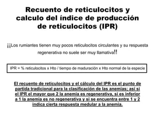 Recuento de reticulocitos y
calculo del índice de producción
de reticulocitos (IPR)
¡¡Los rumiantes tienen muy pocos reticulocitos circulantes y su respuesta
regenerativa no suele ser muy llamativa!!
IPR = % reticulocitos x Hto / tiempo de maduración x Hto normal de la especie
El recuento de reticulocitos y el cálculo del IPR es el punto de
partida tradicional para la clasificación de las anemias; así si
el IPR el mayor que 2 la anemia es regenerativa, si es inferior
a 1 la anemia es no regenerativa y si se encuentra entre 1 y 2
indica cierta respuesta medular a la anemia.
 
