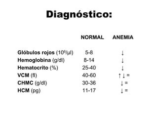 Diagnóstico:
NORMAL ANEMIA
Glóbulos rojos (106/µl) 5-8 ↓
Hemoglobina (g/dl) 8-14 ↓
Hematocrito (%) 25-40 ↓
VCM (fl) 40-60 ↑ ↓ =
CHMC (g/dl) 30-36 ↓ =
HCM (pg) 11-17 ↓ =
 