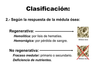 Clasificación:
2.- Según la respuesta de la médula ósea:
Regenerativa:
Hemolítica: por lisis de hematíes.
Hemorrágica: por pérdida de sangre.
No regenerativa:
Fracaso medular: primario o secundario.
Deficiencia de nutrientes.
 