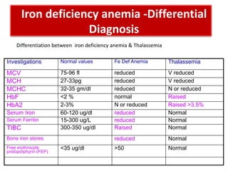 Anemia Panel - New.pptx