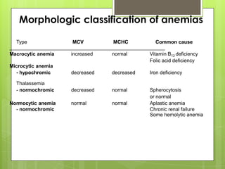 Morphologic classification of anemias

  Type                 MCV           MCHC             Common cause
________________________________________________________
Macrocytic anemia     increased      normal        Vitamin B12 deficiency
                                                   Folic acid deficiency
Microcytic anemia
  - hypochromic       decreased      decreased     Iron deficiency

  Thalassemia
  - normochromic       decreased       normal         Spherocytosis
                                                      or normal
Normocytic anemia      normal          normal         Aplastic anemia
  - normochromic                                      Chronic renal failure
                                                      Some hemolytic anemia
 