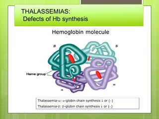 THALASSEMIAS:
Defects of Hb synthesis

             Hemoglobin molecule

              heme




            heme
     Thalassemia- : -globin chain synthesis   or ( )
     Thalassemia- : -globin chain synthesis   or ( )
 
