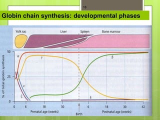 18


Globin chain synthesis: developmental phases
 