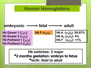 20


               Human Hemoglobins


 embryonic               fetal              adult
Hb Gower 1 ( 2 2)      Hb F (   2 2)   Hb A (    2 2):   95-97%
Hb Gower 2 ( 2 2)                      Hb A2 (   2   2): 4%
Hb Portland 1 ( 2 2)                   Hb F (    2   2): <1%
Hb Portland 2 ( 2 2)

                  Hb switches: 2 major

                   •birth: fetal to adult
 