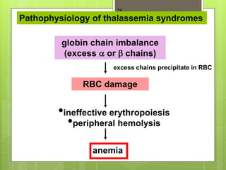 24

Pathophysiology of thalassemia syndromes

         globin chain imbalance
         (excess or chains)
                     excess chains precipitate in RBC

             RBC damage


        •ineffective erythropoiesis
          •peripheral hemolysis
                anemia
 