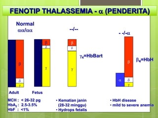 FENOTIP THALASSEMIA -                       (PENDERITA)
    Normal
       /                  --/--
                                                  - -/-



                                  4=HbBart
                                                             4=HbH




Adult      Fetus
MCH : < 26-32 pg   • Kematian janin           • HbH disease
HbA2 : 2.5-3.5%      (28-32 minggu)           • mild to severe anemia
HbF : <1%          • Hydrops fetalis
 