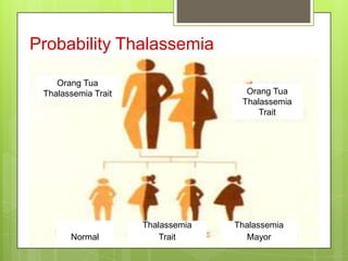 Probability Thalassemia

    Orang Tua
 Thalassemia Trait                   Orang Tua
                                    Thalassemia
                                        Trait




                     Thalassemia   Thalassemia
       Normal            Trait        Mayor
 