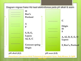 Diagram migrasi fraksi Hb hasil elektroforesa pada pH alkali & asam
                            H
                            Bart’s
+                           Portland             +
                                                                            C
                            A
                            F                                               Origin
                                                                            H
                                                                            S
                            S, D, G,
                            Lepore
                                                                            A, A2, D, E, G, O
                            A2, E, C                                        Lepore

                            Constant spring                                 F, Bart’s, Portland
-                           Origin          -

      pH alkali (8,5)                                 pH asam (6.0)
      (Pemeriksaan Laboratorium Klinik Thalassemia & Hemoglobin Varian; Riady Wirawan, Dr, SpPK
                                              FKUI, 1997)
 