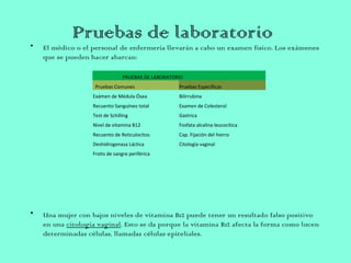 Pruebas de laboratorio• El médico o el personal de enfermería llevarán a cabo un examen físico. Los exámenes
que se pueden hacer abarcan:
• Una mujer con bajos niveles de vitamina B12 puede tener un resultado falso positivo
en una citología vaginal. Esto se da porque la vitamina B12 afecta la forma como lucen
determinadas células, llamadas células epiteliales. 
PRUEBAS DE LABORATORIO
Pruebas Comunes Pruebas Específicas
Exámen de Médula Ósea Bilirrubina
Recuento Sanguíneo total Examen de Colesterol
Test de Schilling Gastrica
Nivel de vitamina B12 Fosfata alcalina leucocítica
Recuento de Reticulocitos Cap. Fijación del hierro
Deshidrogenasa Láctica Citología vaginal
Frotis de sangre periférica
 
