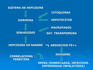 Fe ANEMIA POR DEFECTOS ERITROPOYETICOS.pdf