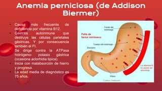 anemia por deficiencia de ácido fólico y vitamina B12 | PPTX