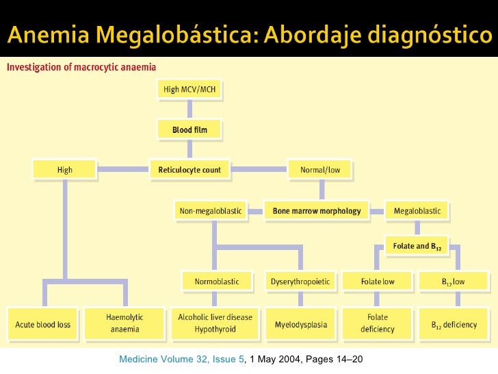 Anemia por deficiencia de vit b12 y folato