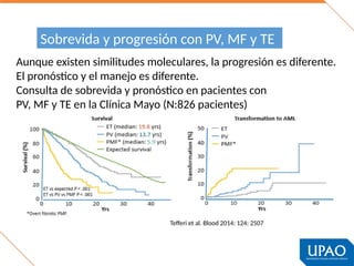 Tefferi Algorithm anemia por enfermedad crónica. para exponer sep 2023 - copia-1.pptx