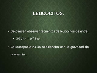 LEUCOCITOS.
• Se pueden observar recuentos de leucocitos de entre:
• 3,0 y 4,4 × 109
/litro
• La leucopenia no se relacionaba con la gravedad de
la anemia.
 