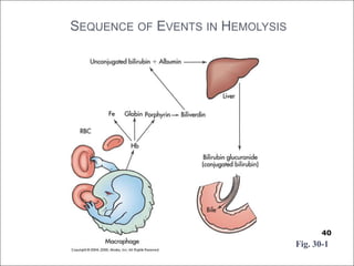 SEQUENCE OF EVENTS IN HEMOLYSIS
40
Fig. 30-1
 