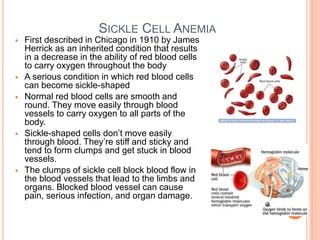 SICKLE CELL ANEMIA
 First described in Chicago in 1910 by James
Herrick as an inherited condition that results
in a decrease in the ability of red blood cells
to carry oxygen throughout the body
 A serious condition in which red blood cells
can become sickle-shaped
 Normal red blood cells are smooth and
round. They move easily through blood
vessels to carry oxygen to all parts of the
body.
 Sickle-shaped cells don’t move easily
through blood. They’re stiff and sticky and
tend to form clumps and get stuck in blood
vessels.
 The clumps of sickle cell block blood flow in
the blood vessels that lead to the limbs and
organs. Blocked blood vessel can cause
pain, serious infection, and organ damage.
42
 