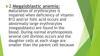 2. Megaloblastic anemia:
Maturation of erythrocytes is
impaired when deficiency of vitamin
B12 and/or folic acid occurs and
abnormally large erythrocytes
(megaloblasts) are found in the
blood. During normal erythropoiesis
several cell division occurs and the
daughter cells at each stage are
smaller than the parent cell because
 